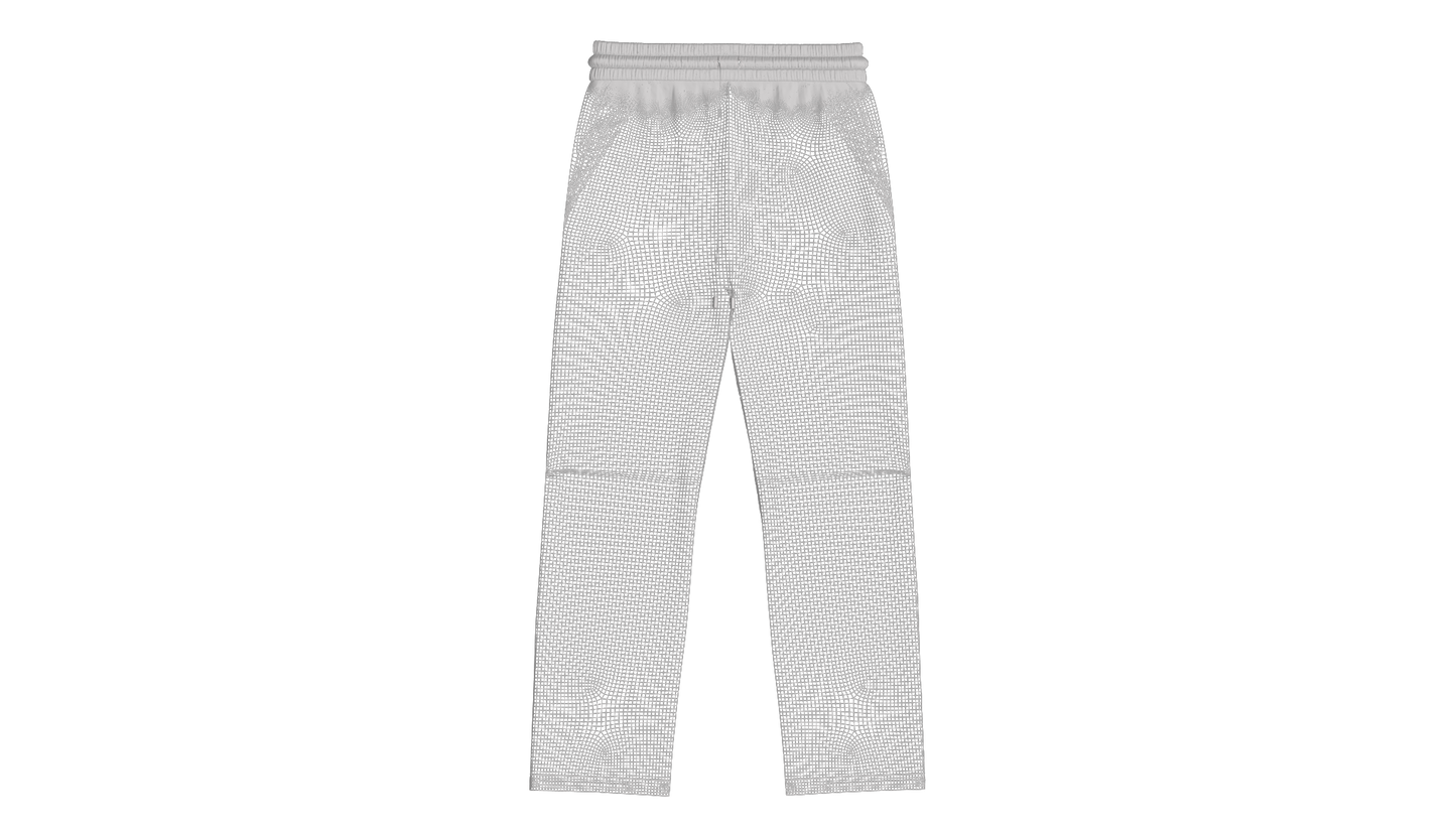 Heavy Nylon Knee Pleat Wide Leg Pant 3d Model Marvelous Designer-Clo3d-fbx-obj-Zprj